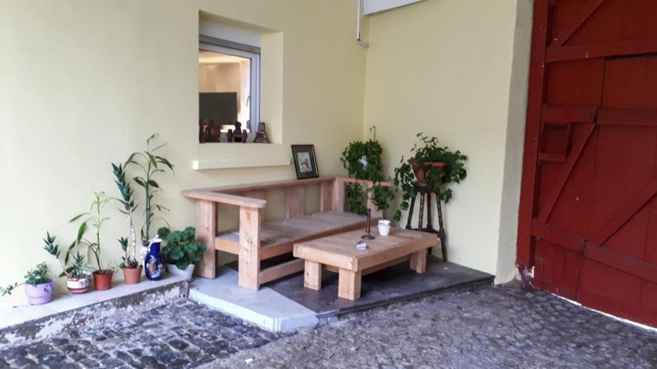 Chez Pinoche Apartment Gertwiller Bagian luar foto